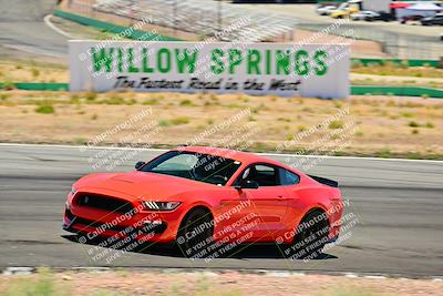 media/May-10-2025-Cobra Club (Sat) [[7b9c5022b1]]/Passenger/